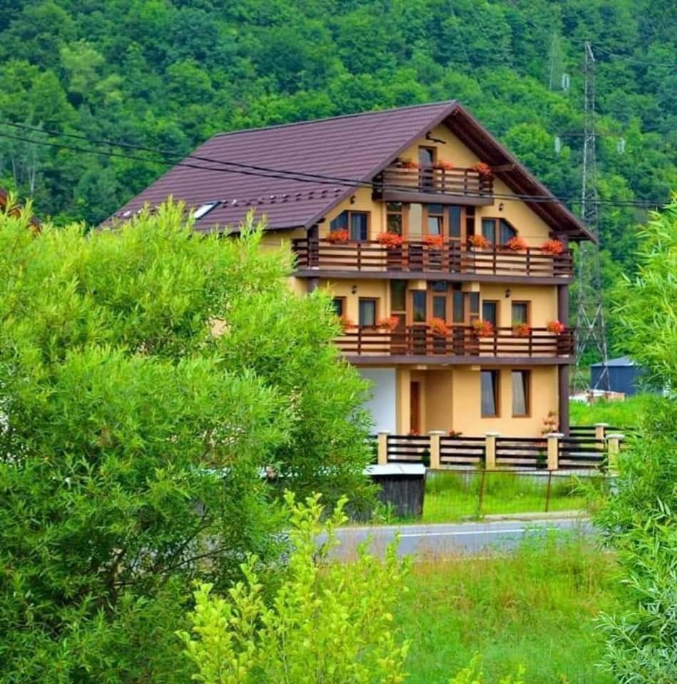 Casa Vadeanu Hotell Sighetu Marmaţiei Exteriör bild