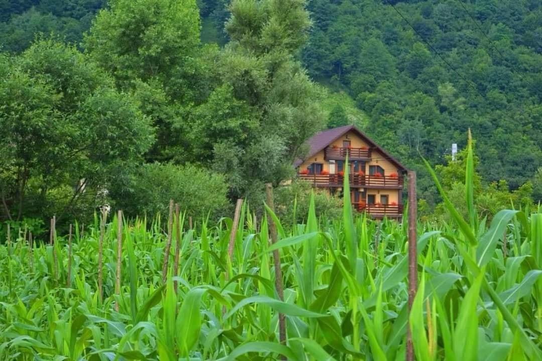 Casa Vadeanu Hotell Sighetu Marmaţiei Exteriör bild