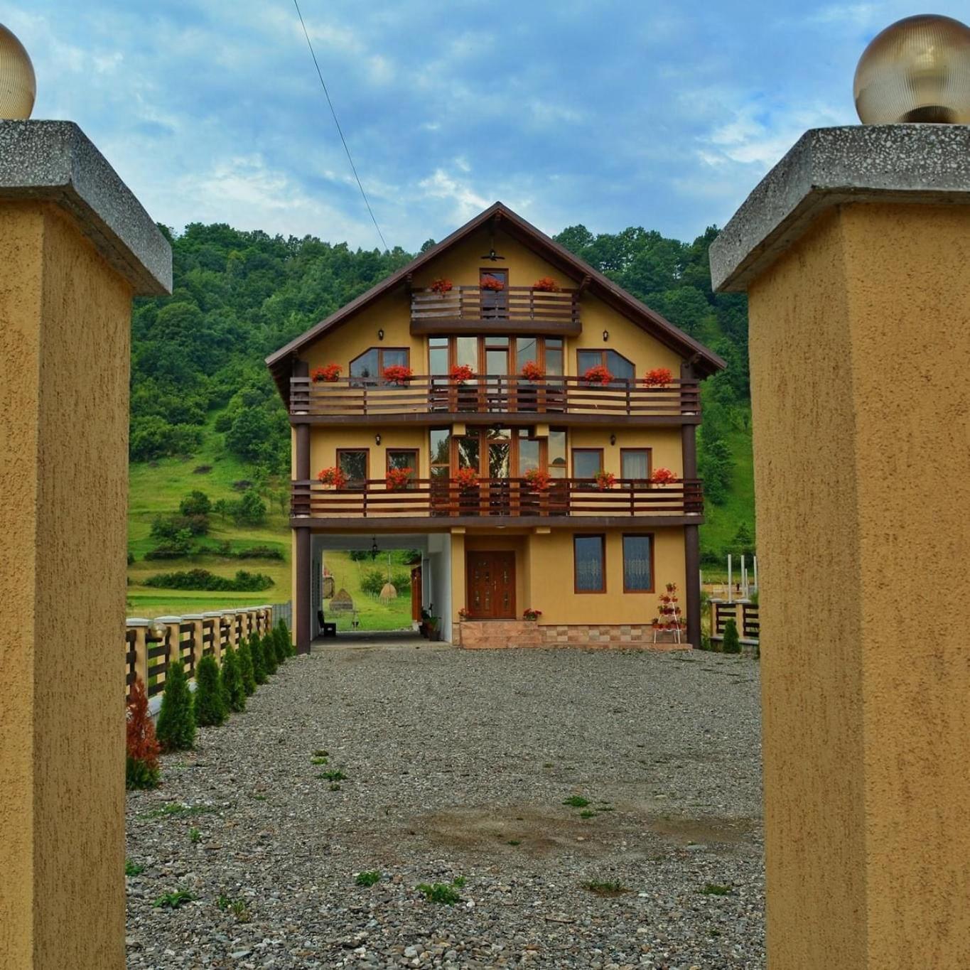 Casa Vadeanu Hotell Sighetu Marmaţiei Exteriör bild